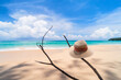 Hat on tree branch at tropical beach with blue sky and white cloud background.