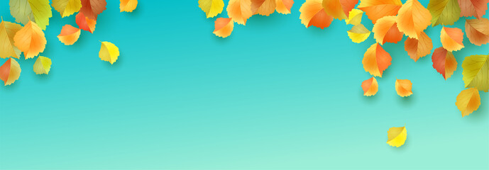 autumn leaves banner