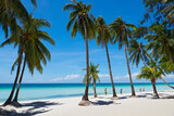 Fototapeta Las - A group of people walking next to coconut trees along the clean White Beach of Boracay Island, Aklan, Visayas, Philippines, at a sunny day.