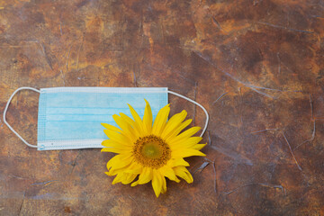 Sunflower flower and healing mask,
   on a brown background, there is room for text