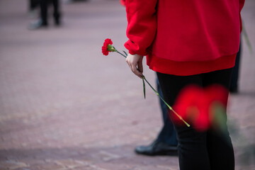 Wall Mural - Holds red carnations, a memorable day of mourning.