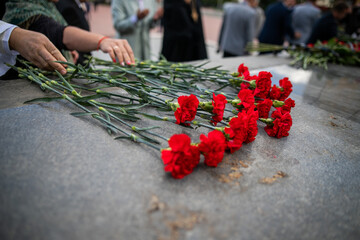 Wall Mural - A hand puts red carnations on a granite gravestone. Memory of the dead