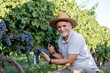 © nellas - Senior man works in a vineyard