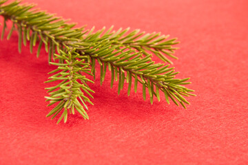 Christmas fir tree branches Background. Christmas pine tree wallpaper. Banner. Flat lay, top view.