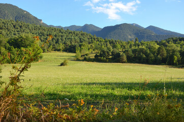 Wall Mural - Green Meadow surrounded by Mountains in The Pyrenees Spanish Mountains