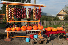 Red, White Onion Hanging In Bunches. Different Forms Of Orange Pumpkins, Other Vegetables For Sale. Fall Countryside, Autumn Harvest In Russian Village. Fall Season