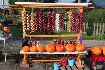 Red, white onion hanging in bunches. Different forms of orange pumpkins, other vegetables for sale. Fall countryside, autumn harvest in Russian village. Fall season
