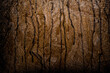 © patoouupato - madera con pintura negra choreando gotas