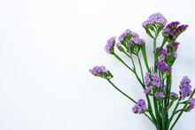 Statice Flower On White Background.