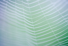 Close Up Of A Spider Web With A Blue Background