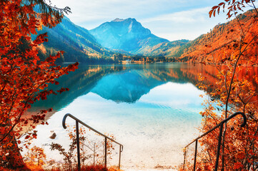 Wall Mural - Yellow autumn trees on the shore of lake in Alps, Austria. Vorderer Langbathsee lake. Beautiful autumn landscape