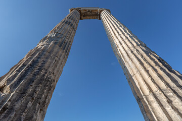 Wall Mural - Columns of the Temple of Apollo in Didyma, Aydin, Turkey