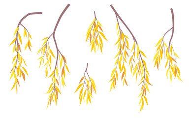 Wall Mural - Simple Autumn Weeping Willow Branches and Foliage.