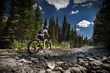 AC hildr rides their mountain bikes through a cascade creek along the High Rockies Trail in Kananaskis Alberta Canada.