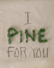I Pine For You"" Spelled Out With Twigs And Pine Needles On Craft Paper
