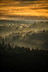 Sunrise over the mountain forest. Bieszczady National Park. Carpathian Mountains. Poland.