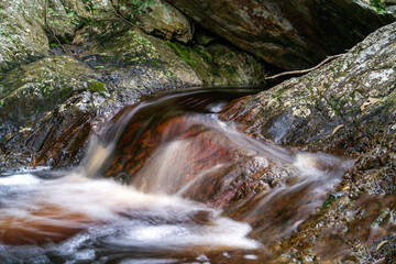 Forest creek running through the stones. Nature landscape with Long exposure shot