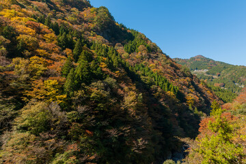 Wall Mural - The view of this valley is beautiful.