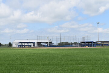 Wall Mural - Softball Field