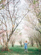 © Meaghan Curry Photography/Stocksy - little girl standing beneath spring trees in bloom
