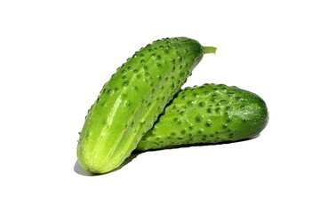 Two cucumbers lie on a white background