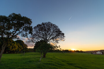 Wall Mural - paisagem com pôr-do-sol na natureza 