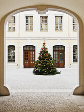 Christmas Tree In A Court Yard