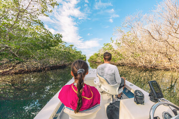 boat tour in the everglades, florida, usa. popular tourist attraction from the keys, miami ,orlando.