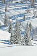 © Akela - from alp to alp/Stocksy - snowcovered winter landscape