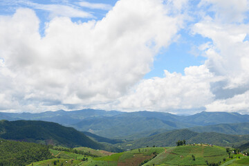 Rice fields in Thailand with copy space