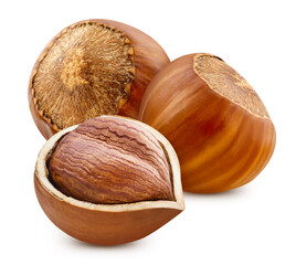 Wall Mural - Hazelnut isolated on white background. Hazelnut with clipping path