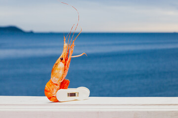 Red boiled shrimp or tiger prawns on the background of the sea during sunset.