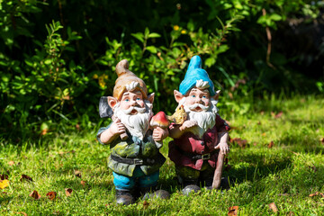 Two toy garden gnomes on a sunny lawn. Selective focus