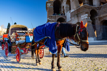 Wall Mural - Horse carriage at the Colosseum in Rome, Italy