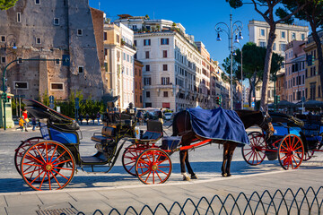 Wall Mural - Horse carriage in the old town of Rome, Italy