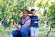 Father teaches his son in the vineyard



