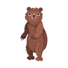 Wall Mural - cute brown bear as carnivore forest animal vector illustration
