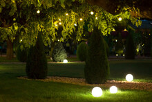 Night Backyard With Mown Lawn And Trees Festive Decorated With Garlands With Light Bulbs In The Leaves Of Trees And Ground Ball Lanterns On Celebrate Of Party Holiday Park, Nobody.
