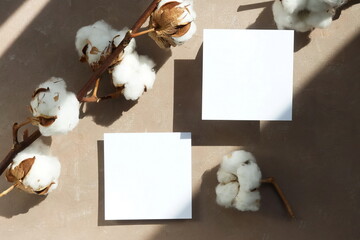 Blank sheets paper cards with empty copy space, dried cotton flowers and shadows on paint beige textured background. Top view, flat lay mock up template.