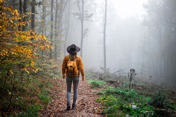 Wall Mural - hiking in fog at autumn forest. woman tourist with cowboy hat and backpack walking at footpath