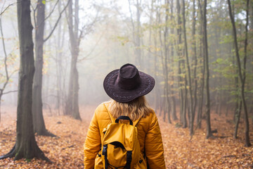 Wall Mural - hiking in fog at autumn forest. woman tourist with cowboy hat and backpack walking at footpath
