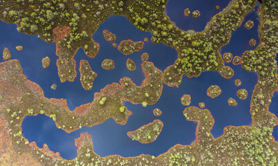 Canvas Print - Complex peatland landscape pattern with pools, islands and ridges