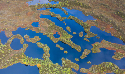 Canvas Print - Complex peatland landscape pattern with pools, islands and ridges