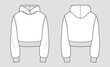 Cropped Hoodie. Technical sketch of clothes. Fashion vector illustration
