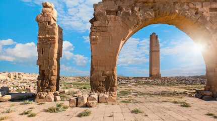 Wall Mural - Ruins of the ancient city of Harran - Urfa , Turkey (Mesopotamia) - Old astronomy tower