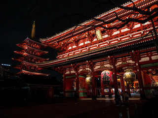 Tokyo, Japan - 24.2.20: Sensoji in the evening, with very few visitors present