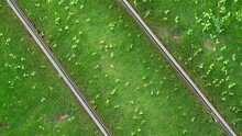 Railroad Tracks In The Grass