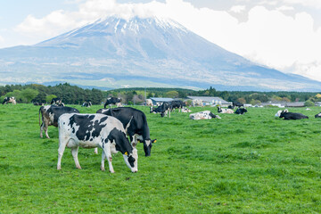 Poster - Idyllic landscape