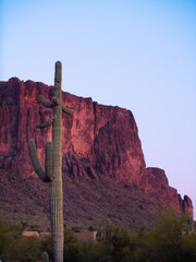 Wall Mural - Amazing shot of a beautiful canyon landscape