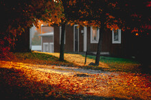 Autumn In Colour, Last Warm Days ,Sweden